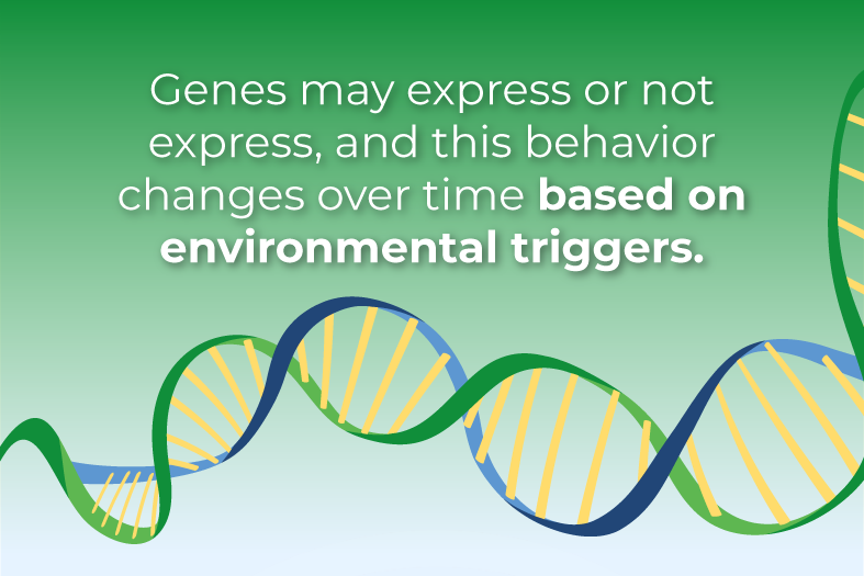 does my child need their neurochemicals rebalanced