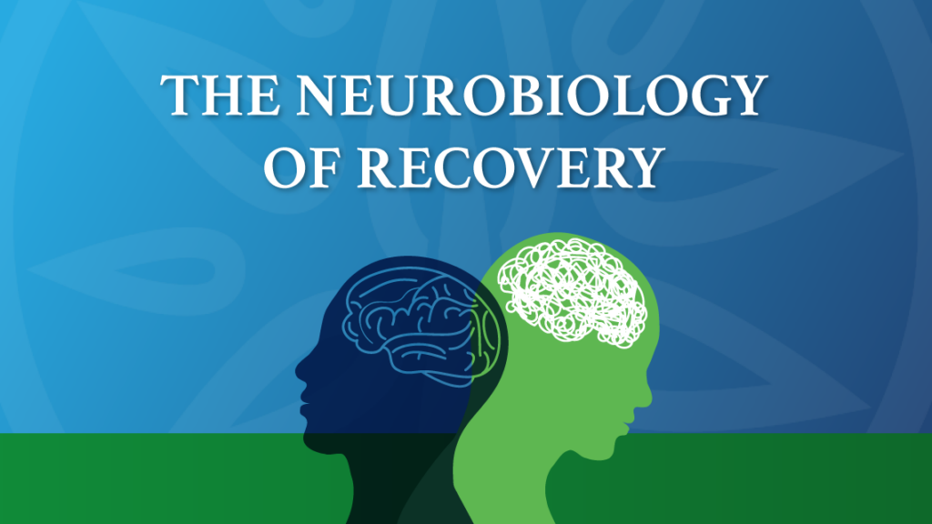 the impact of genes and brain chemicals on mental health