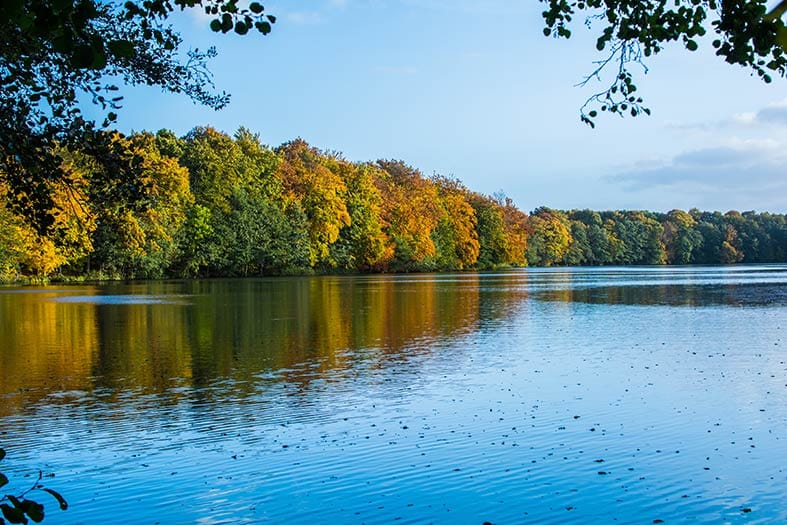 Southlake teen treatment