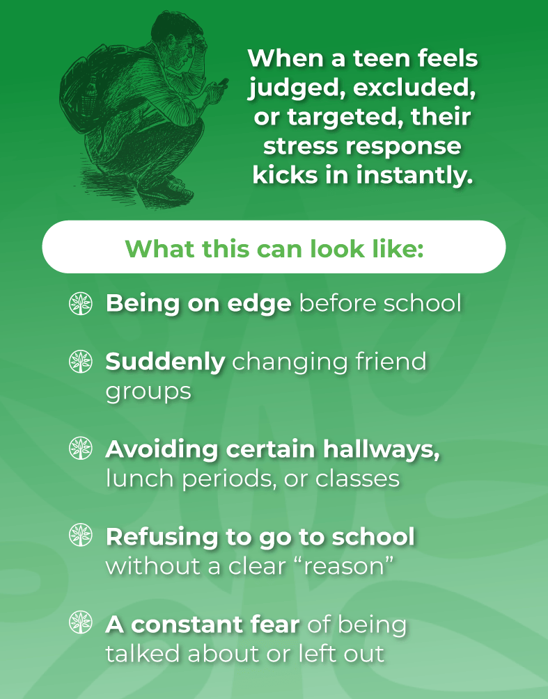 Causes of Teen Stress